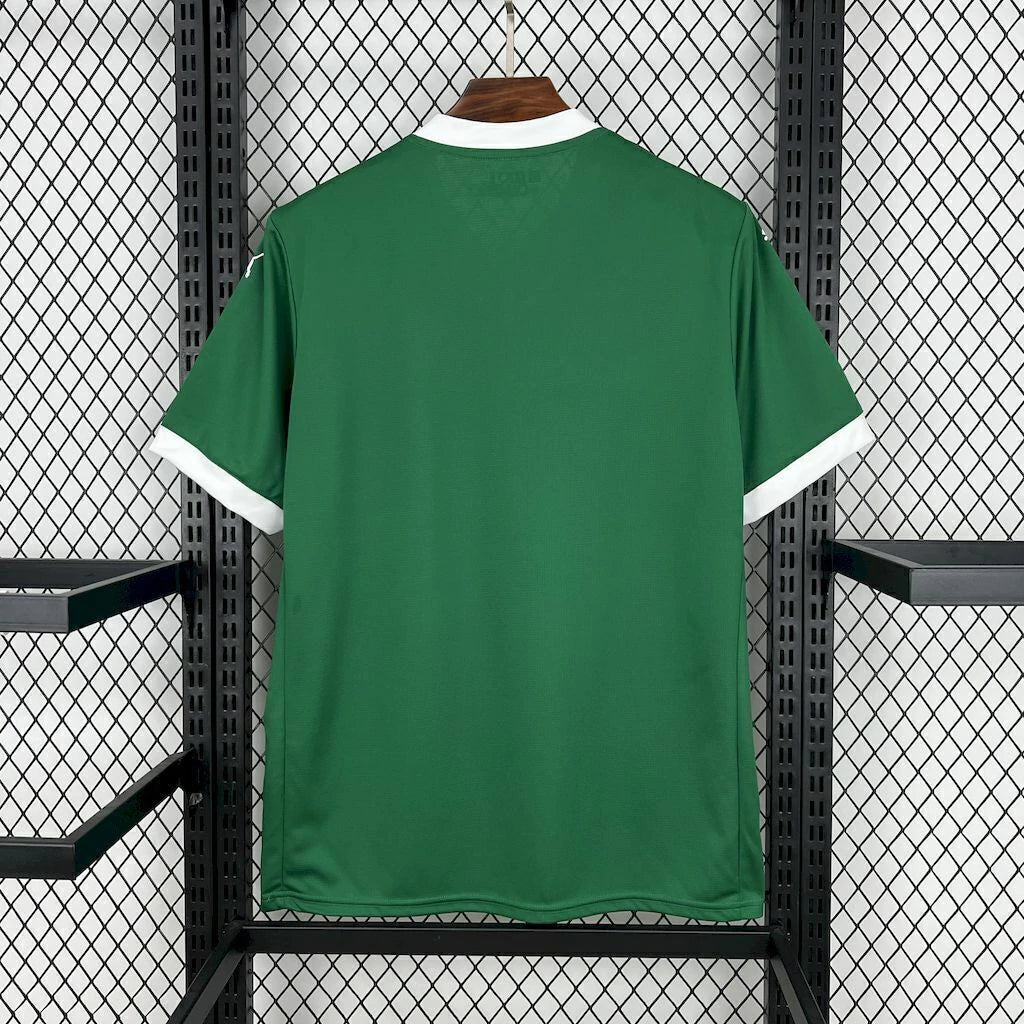 Camisa Palmeiras I 25/26 Torcedor Masculina