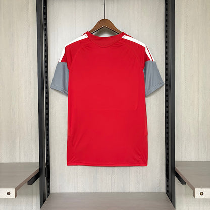 Camisa Internacional Treino 26/27 Torcedor Masculina